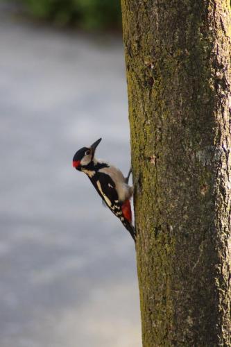 WhatsApp Image 2022-05-15 at 6.44.10 PM