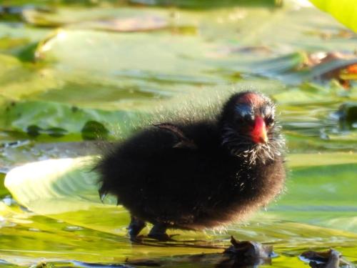 WhatsApp Image 2022-06-03 at 6.56.30 AM