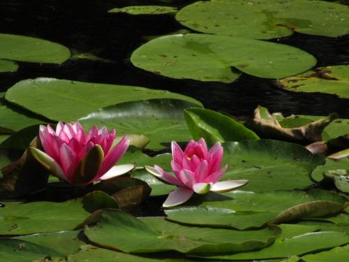 WhatsApp Image 2022-07-17 at 5.24.43 PM