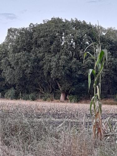 WhatsApp Image 2022-09-11 at 8.52.27 PM