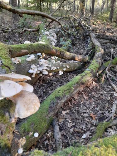 WhatsApp Image 2022-10-08 at 4.45.14 PM